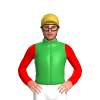 Green And Gold Diamonds, Red Sleeves, Gold Cap