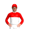 White And Red Halves With Roses, Red And White Seams Sleeves And Cap