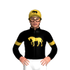 Black, Gold Horse And Armbands, Gold Cap, Black Horse