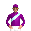 Purple, Pale Blue Sash