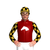 Maroon, White Horse Head, Gold And Black Checked Sleeves And Cap