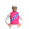 Pink, Dark Blue And White Checked Sash, Sleeves And Cap
