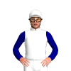 White, Navy Blue Westgrove Stud Brand And Sleeves