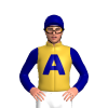 Gold, Navy Blue A Motif, Cerise, Navy Blue A Motif Sleeves And Cap