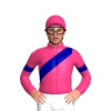 Pink, Dark Blue Sash And Armbands