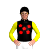 Black, Red Flower, Yellow Bees On Sleeves