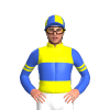 Yellow, Royal Blue Band And Sleeves, Yellow Double Armbands, Quartered Cap