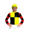 Yellow, Black Quarters, Red And Black Hooped Sleeves