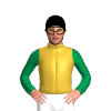 Gold, Emerald Green Sleeves, Black Seams And Cap