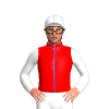Red, Royal Blue Seams, White Sleeves And Cap, Royal Blue Seams