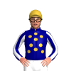 Navy Blue, Gold Spots, White Striped Sleeves, Gold Cap