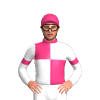 Pink, White Quarters And Sleeves, Pink Armbands