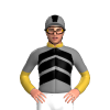 Gold, Black And Grey Chevrons, Gold And Grey Halved Sleeves, Grey Cap, Black And Gold Stripe