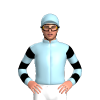 LIGHT BLUE , BLACK HOOPS SLEEVES 