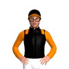 BLACK,ORANGE EPAULETTES,SLEEVES,PEAK
