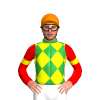 GREEN, YELLOW DIAMOND CHECK, RED SLEEVES, YELLOW ARMBAND, Orange cap