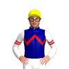 NAVY, RED ZIGZAG CHEVRON, WHITE SLEEVES, RED DOUBLE ARMBAND, Yellow cap