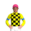 YELLOW, BLACK CHECKS, YELLOW SLEEVES, BLUE ARMBANDS, Pink cap