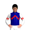 NAVY, RED ZIGZAG CHEVRON, WHITE SLEEVES, RED DOUBLE ARMBAND, Black cap