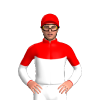 RED, WHITE HALVES, WHITE DIAMOND BAND , SLEEVES, Red cap