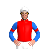 RED, BLUE SLEEVES,RED ARMBANDS, White cap