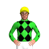 LIME GREEN, BLACK DIAMOND CHECK, LIME GREEN SLEEVES, BLACK DIAMOND STRIPE, Yellow cap