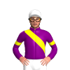 PURPLE, YELLOW RIGHT SASH, ARMBANDS, White cap