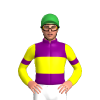 PURPLE, YELLOW BAND, SLEEVES, PURPLE ARMBANDS, Green cap
