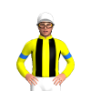 YELLOW, BLACK STRIPES, BLUE ARMBANDS, White cap