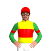 YELLOW, RED BAND, GREEN SLEEVES, RED ARMBAND, Red cap