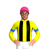 YELLOW, BLACK STRIPES, BLUE ARMBANDS, Pink cap