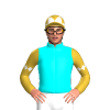 Jockey Silk