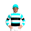 Jockey Silk