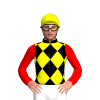 Jockey Silk