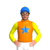 Jockey Silk