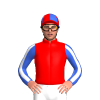 Jockey Silk