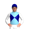 Jockey Silk