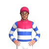 Jockey Silk