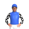 Jockey Silk