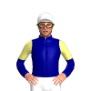 Jockey Silk