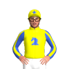 Jockey Silk