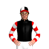 Jockey Silk