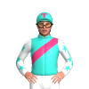 Jockey Silk