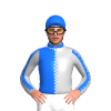 Jockey Silk