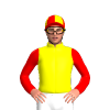 Jockey Silk