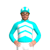 Jockey Silk