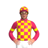 Jockey Silk