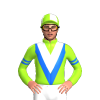 Jockey Silk