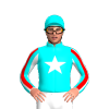 Jockey Silk