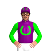 Jockey Silk